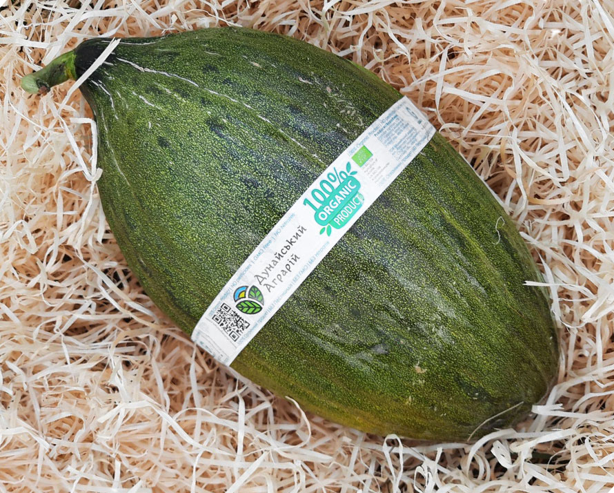 Piel de Sapo Melone